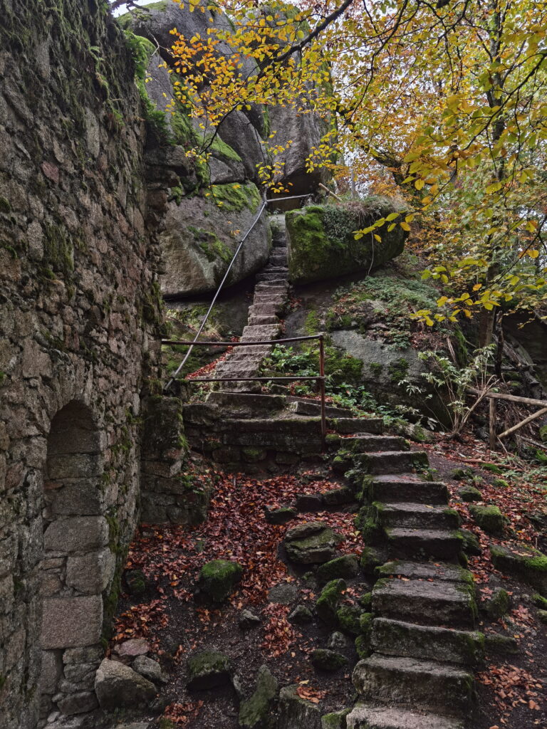 Großer Waldstein