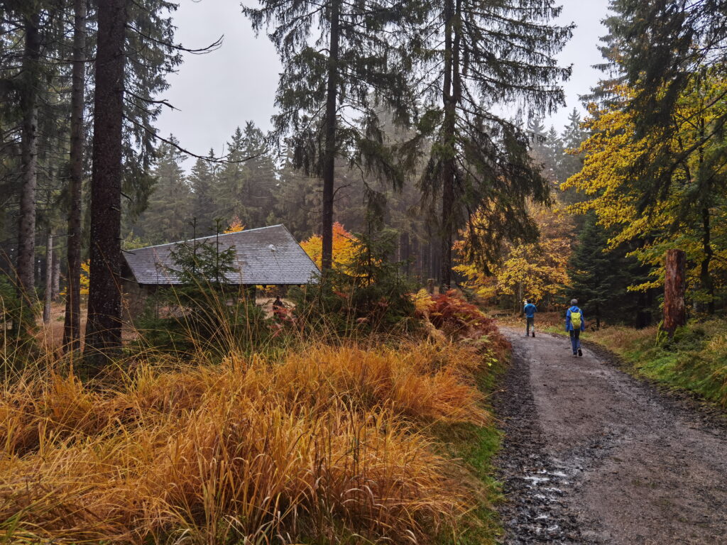 Durch den Steinwald zum Oberpfalzturm Wandern