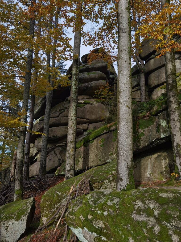 Großer Waldstein - markante Felsen mit Matratzenverwitterung